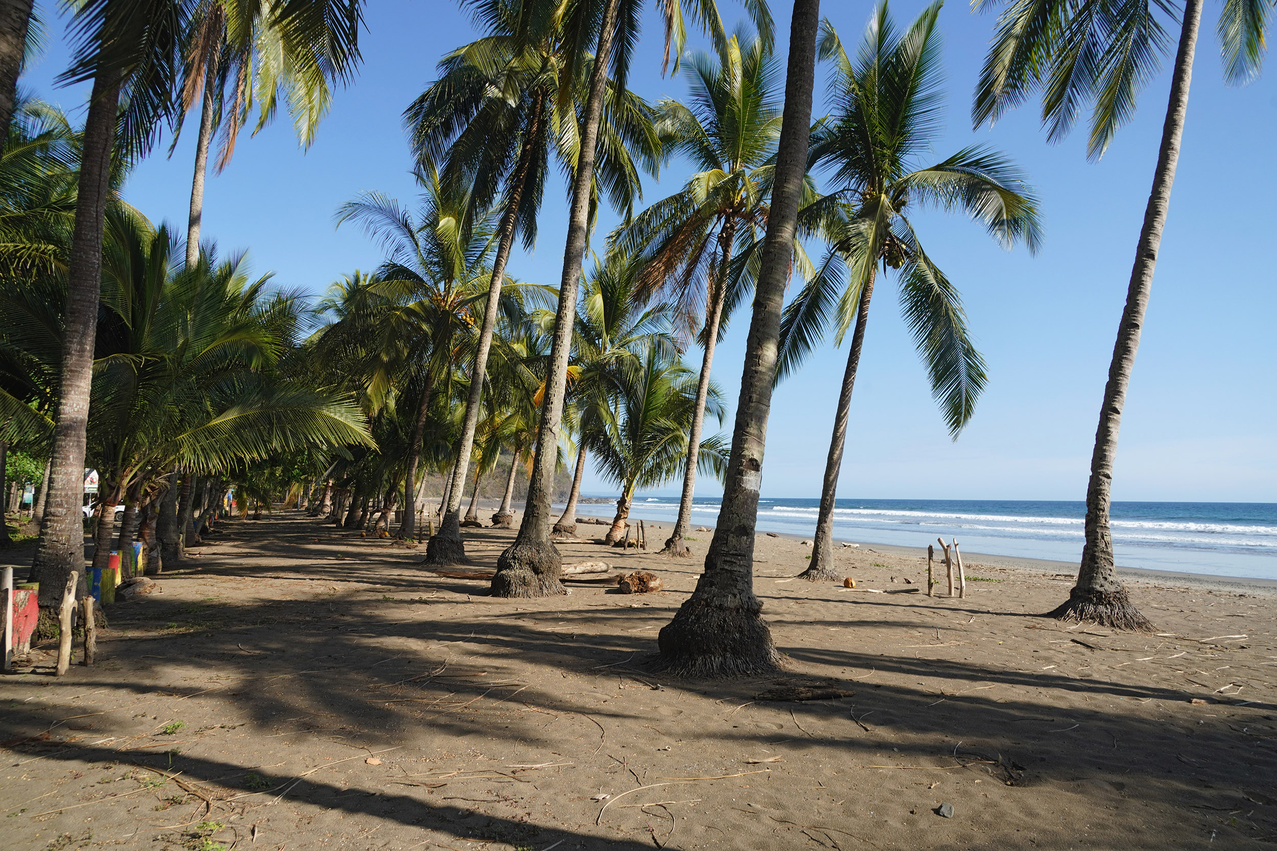 Costa Rica - Février 2025